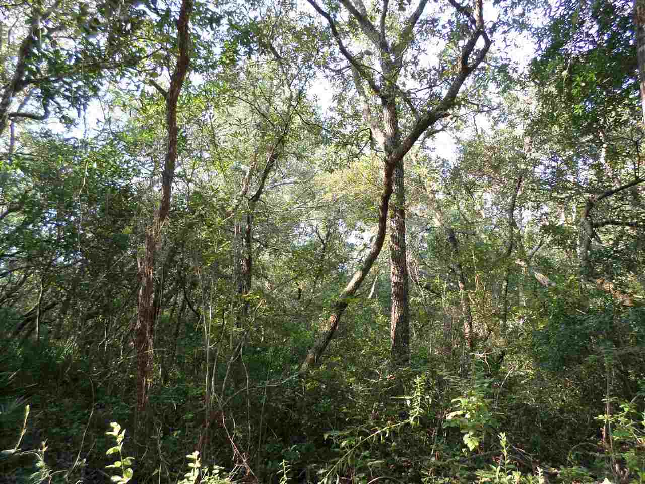 5-acres Dennis Howell Road, Unit 1 Perry, FL 32348 - Photo 3 of 14 Gallery Image 3