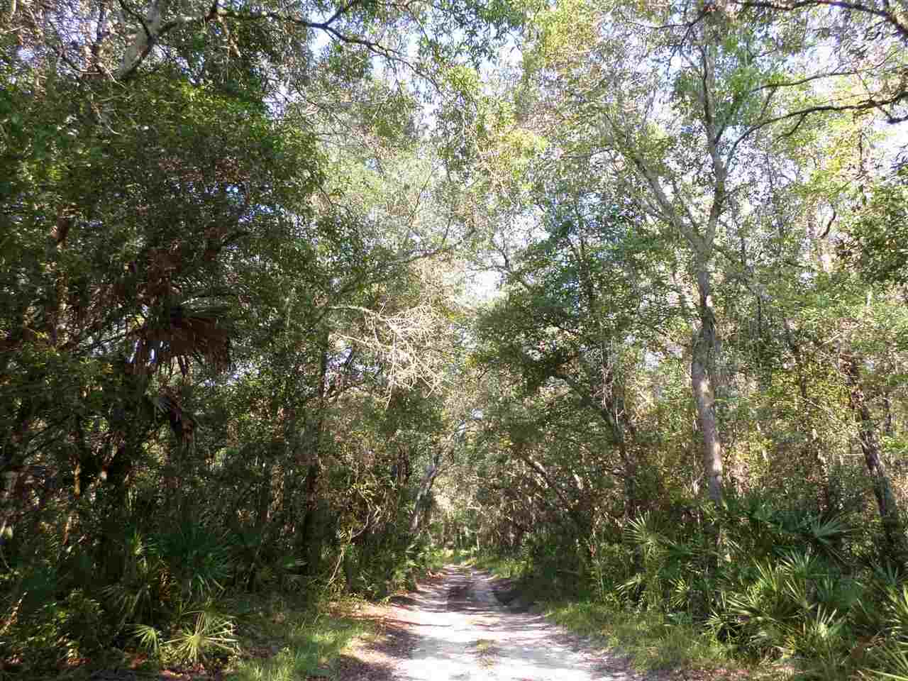 5-acres Dennis Howell Road, Unit 1 Perry, FL 32348 - Photo 4 of 14 Gallery Image 4