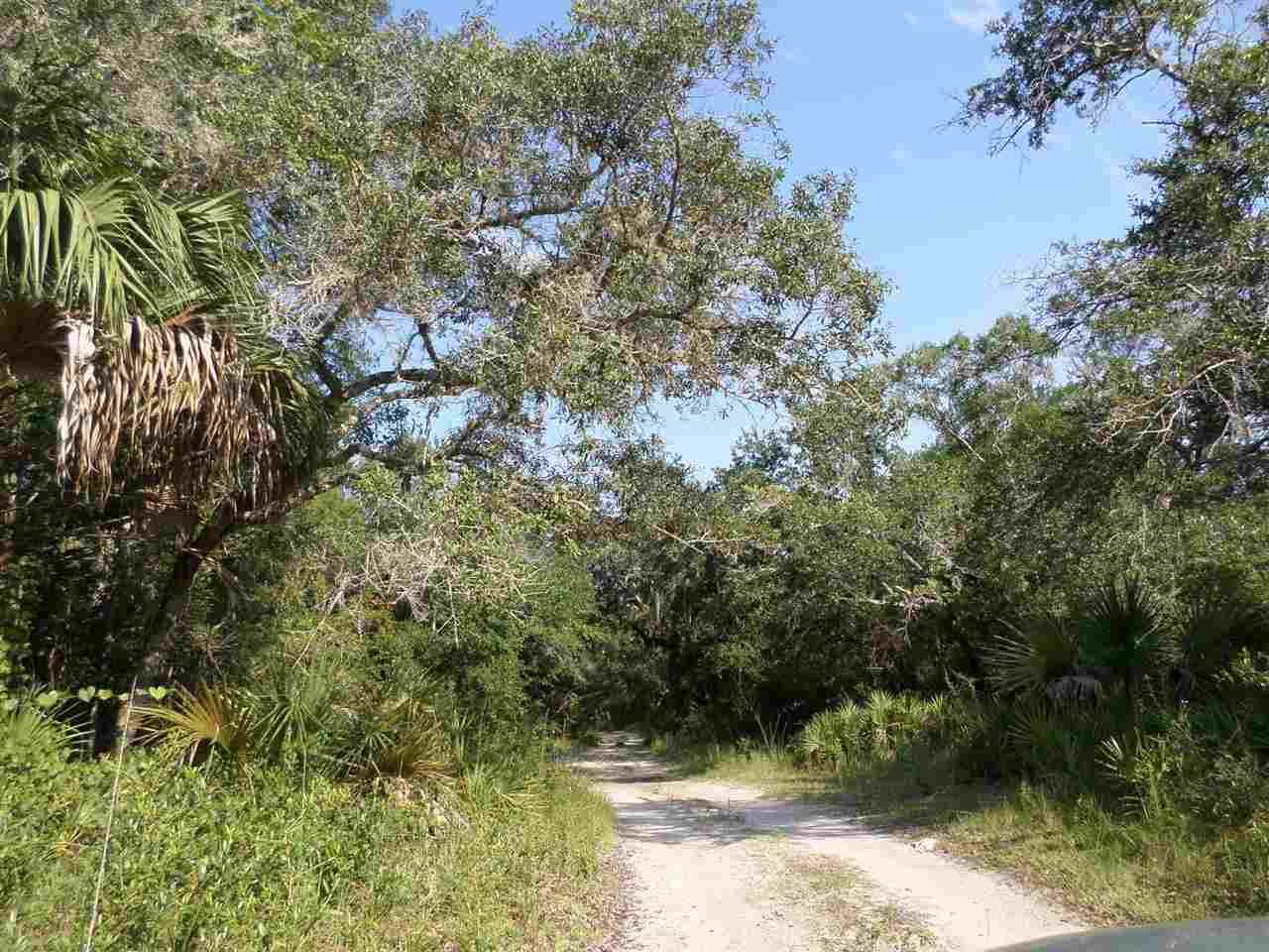 5-acres Dennis Howell Road, Unit 1 Perry, FL 32348 - Photo 6 of 14 Gallery Image 6
