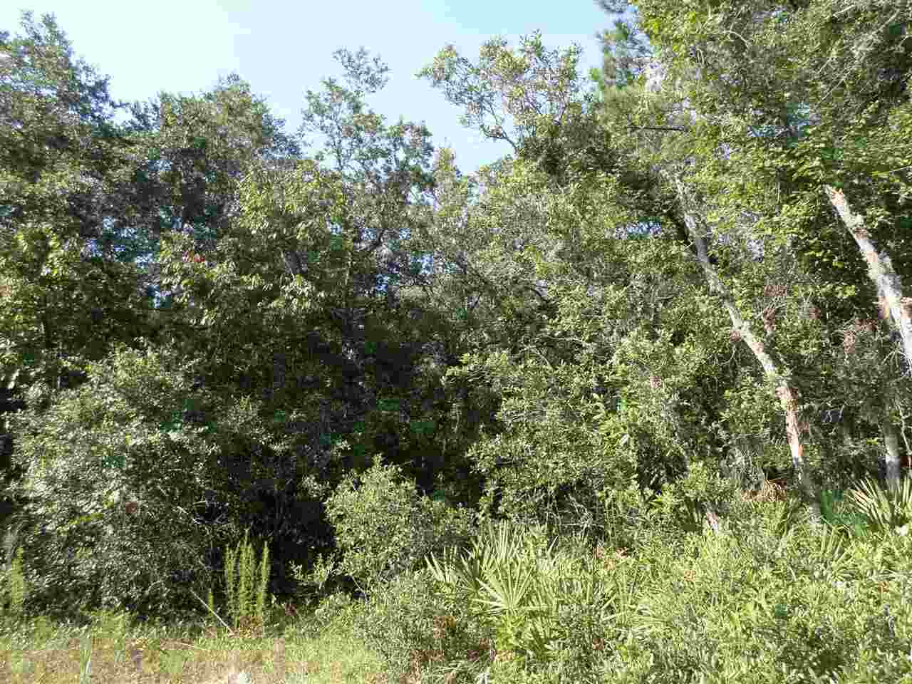 5-acres Dennis Howell Road, Unit 1 Perry, FL 32348 - Photo 10 of 14 Gallery Image 10