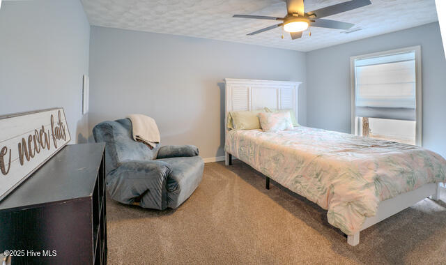 20 Bay Point Road Merritt, NC 28556 - Photo 32 of 40 34) 61339-689a7ab597efc