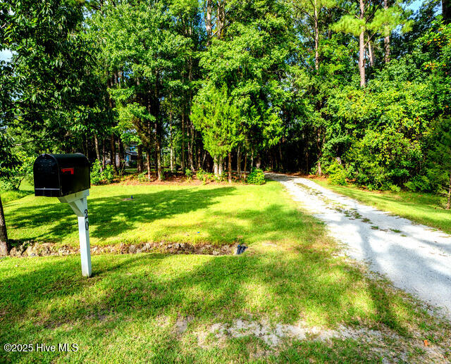 20 Bay Point Road Merritt, NC 28556 - Photo 8 of 40 10) 61339-689a7a78c1090