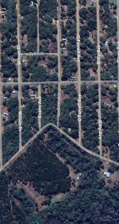 3 Neisman Avenue Interlachen, FL 32148 - Photo 4 of 6