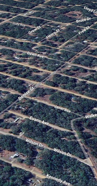 3 Neisman Avenue Interlachen, FL 32148 - Photo 5 of 6