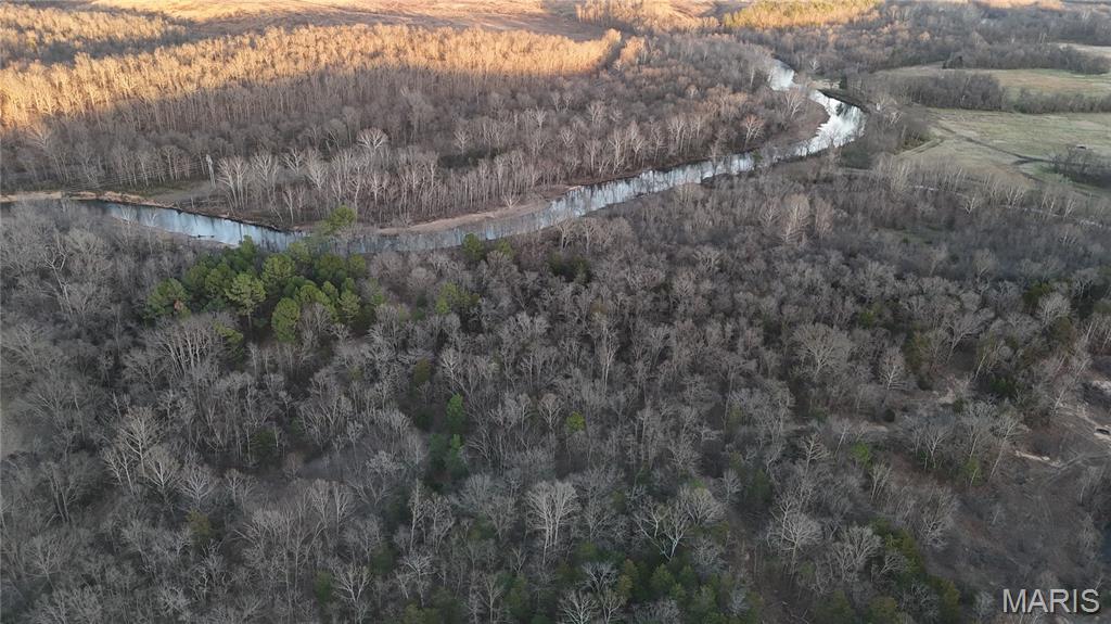 0 River Mill Spring Mill Spring, MO 63952 - Photo 3 of 4