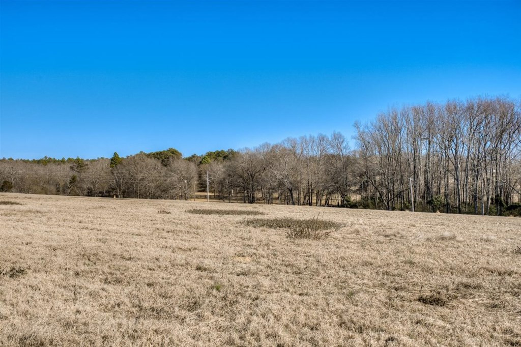 Lot 5 Wire Road Aiken, SC 29801 - Photo 4 of 10