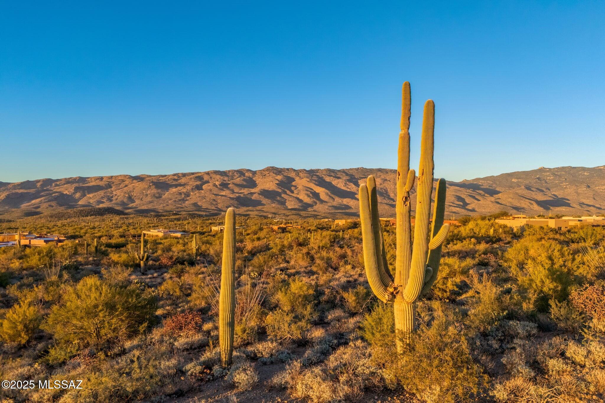 15252 East Tumbling W Ranch Place, Unit 134 Vail, AZ 85641 - Photo 1 of 31 Acreage in Gated Coyote Creek