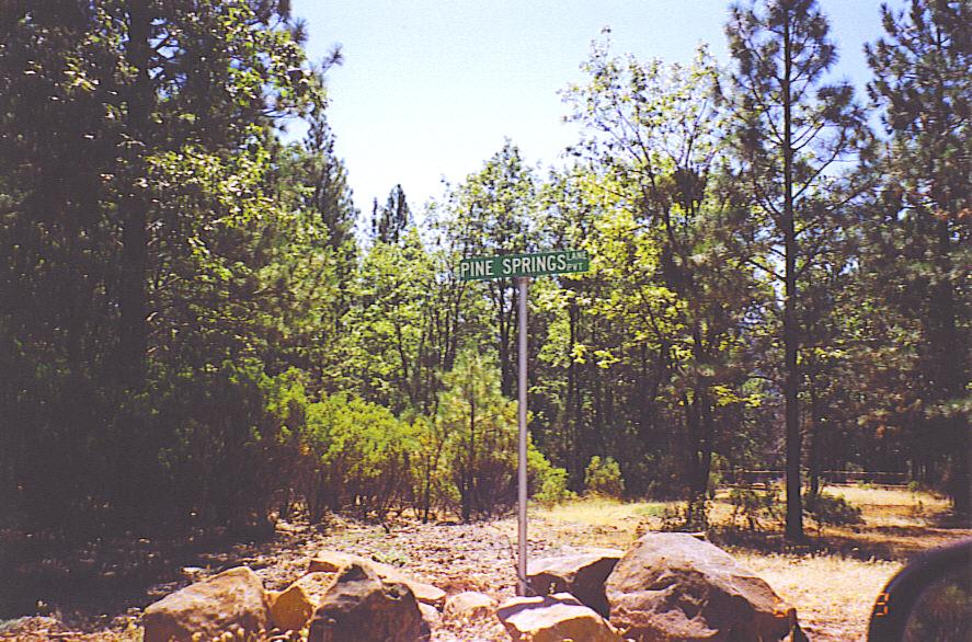 29475 Pne Spgs Lane Whitmore, CA 96096 - Photo 3 of 7 a view of a yard with a tree
