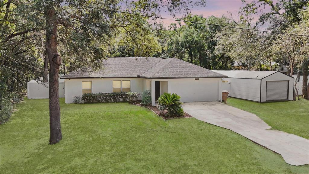 40206 Palm Street Lady Lake, FL 32159 - Photo 3 of 31