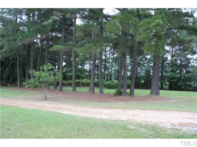2577 Steven's Chapel Road Smithfield, NC 27577 - Photo 4 of 7 Photo 4