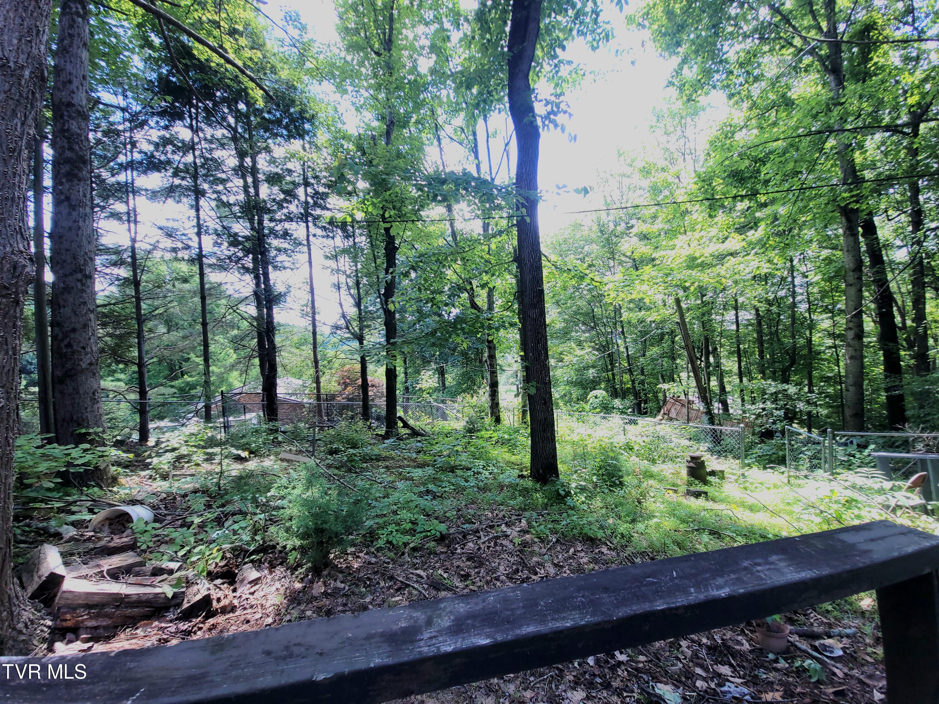 368 Charlie Hicks Road Jonesborough, TN 37659 - Photo 28 of 29 20240530_150408