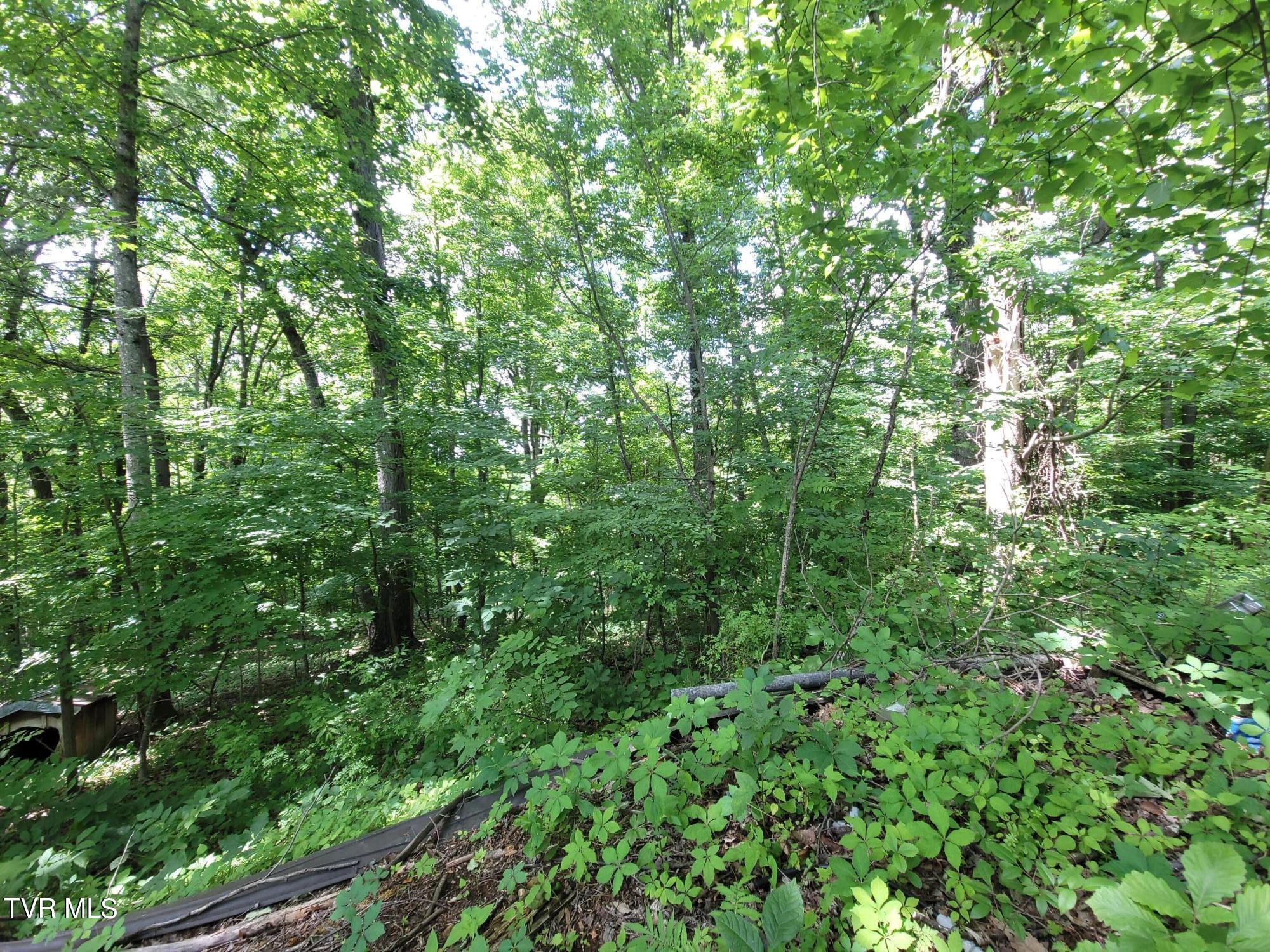 368 Charlie Hicks Road Jonesborough, TN 37659 - Photo 29 of 29 20240530_150718