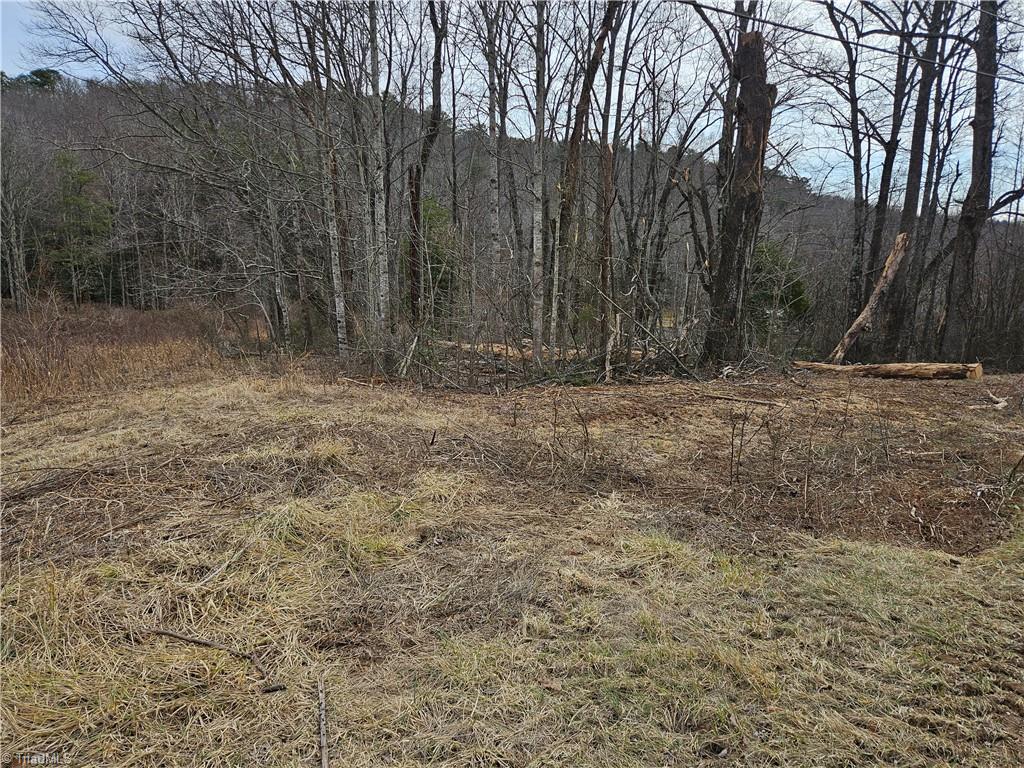 0 Blue Hollow Road, Unit 27 Mount Airy, NC 27030 - Photo 10 of 11