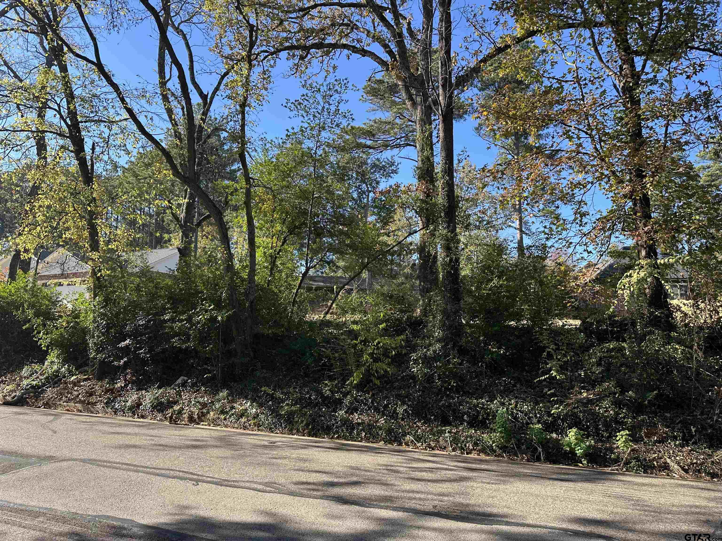 Tbd Robertson Avenue Tyler, TX 75701 - Photo 7 of 9 a view of a tree with a house