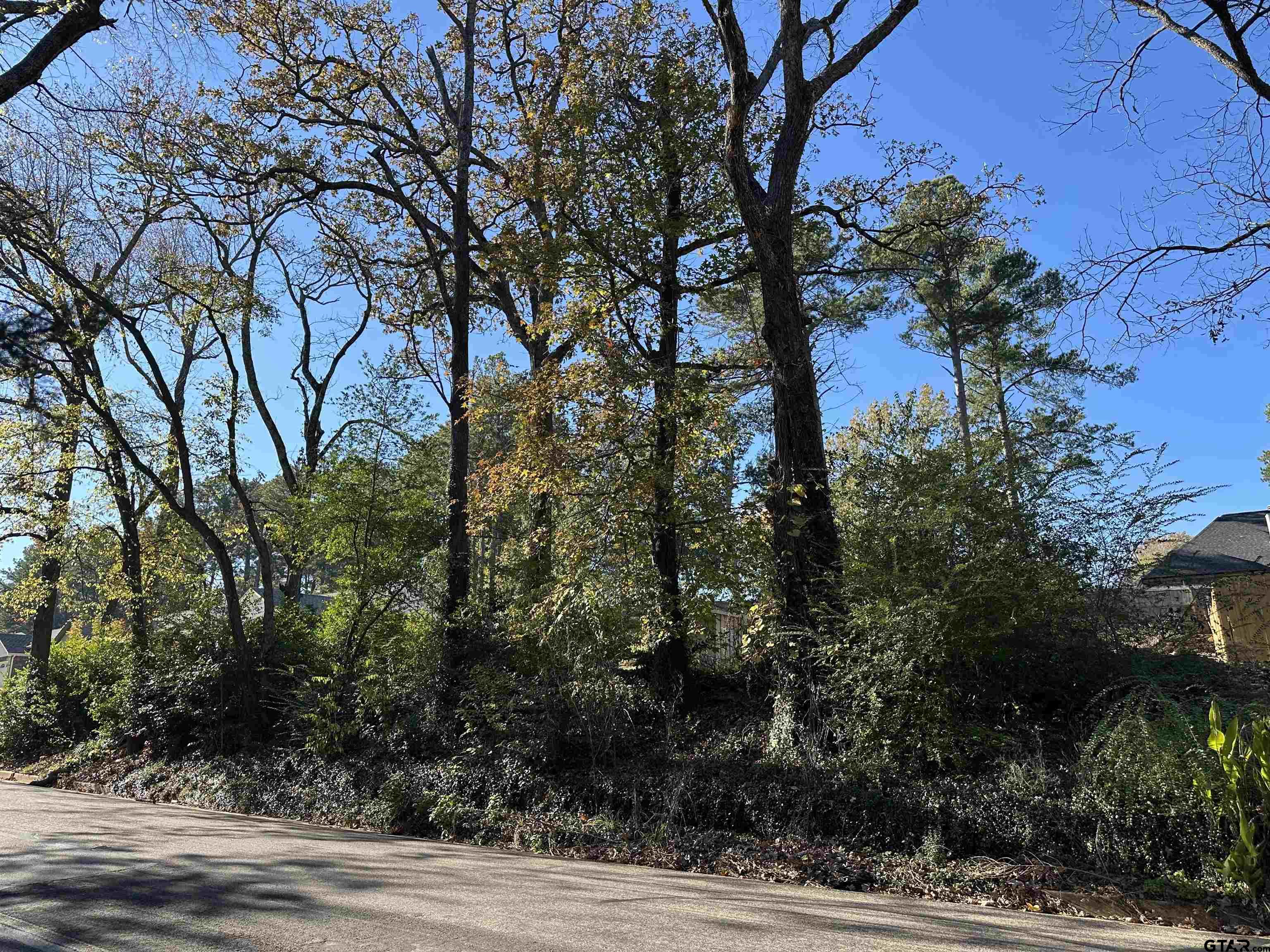 Tbd Robertson Avenue Tyler, TX 75701 - Photo 8 of 9 a view of a yard