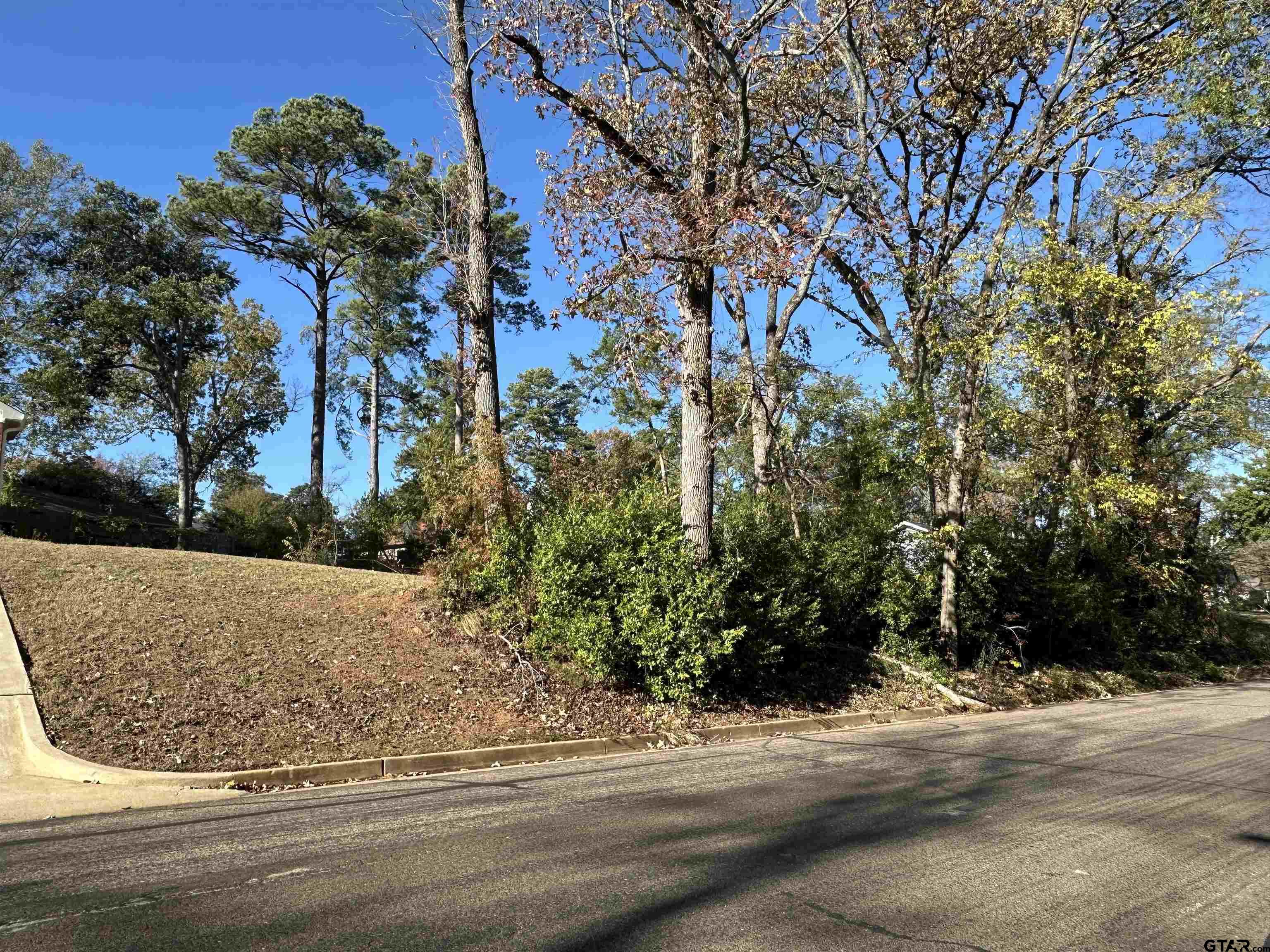 Tbd Robertson Avenue Tyler, TX 75701 - Photo 9 of 9 a view of a yard and basketball court