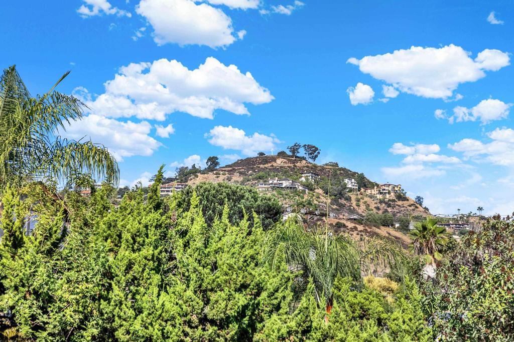 4242 Avenida Gregory Spring Valley, CA 91977 - Photo 68 of 68