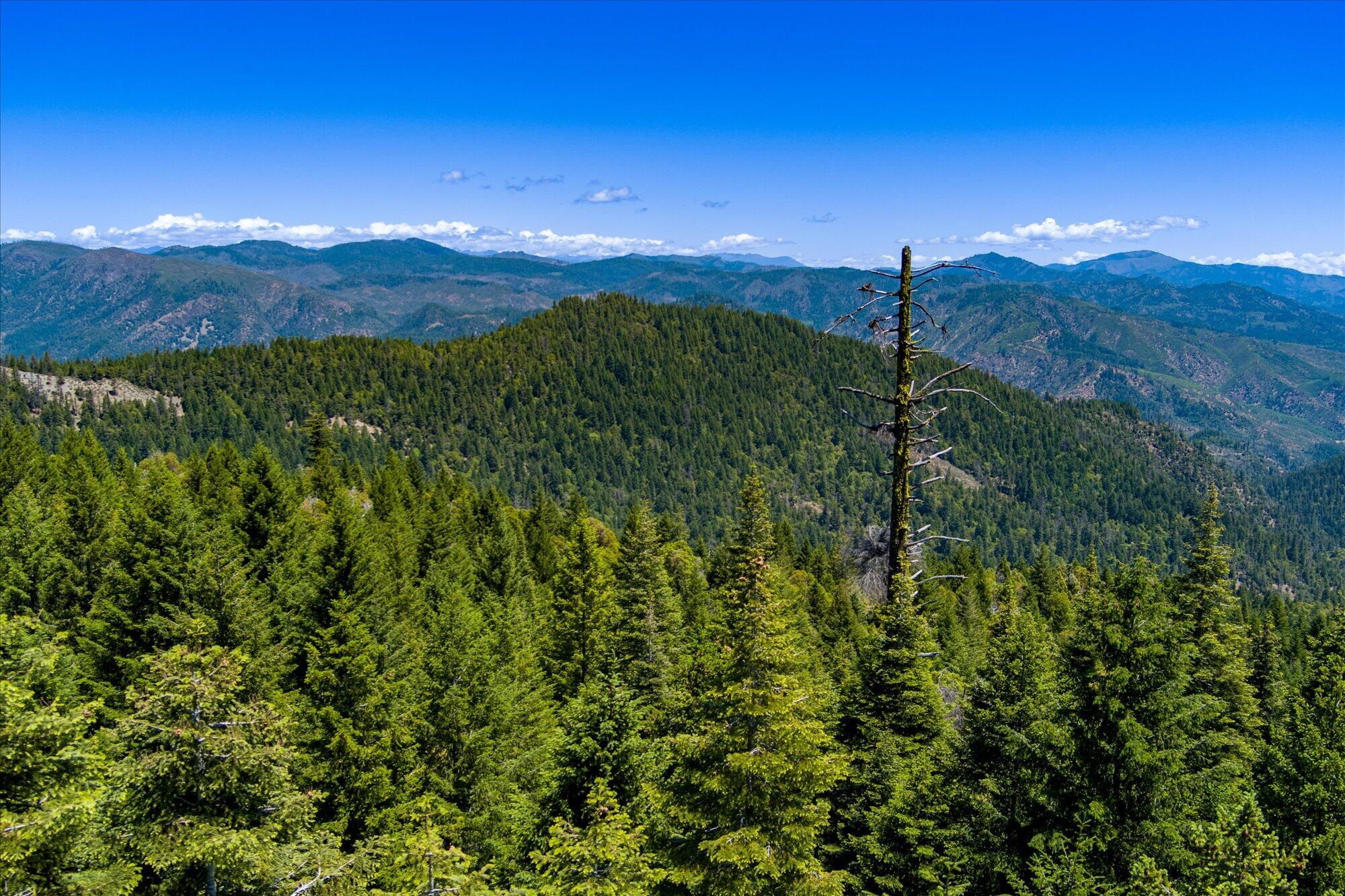 0 Forest Rte 4N20 Road Hayfork, CA 96041 - Photo 6 of 22