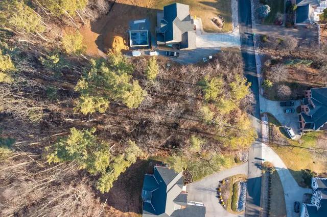 a view of a yard with plants and trees