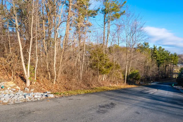 a view of backyard and tree