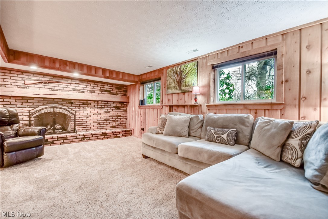 3872 Green Street Perry, OH 44081 - Photo 25 of 40 Family Room area with a fireplace, carpet flooring, wooden walls, and a textured ceiling