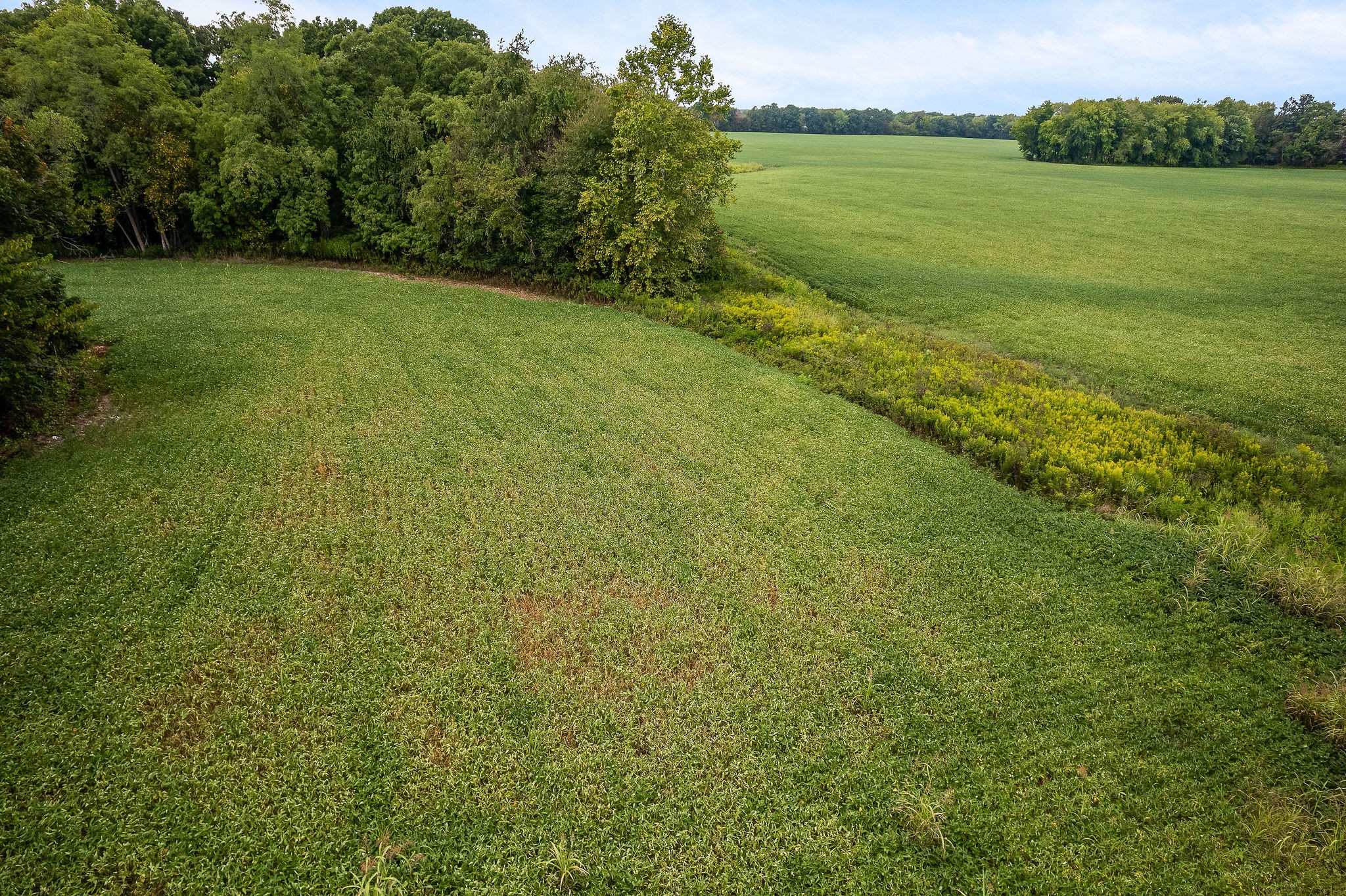 0 East Main Street Smithville, TN 37166 - Photo 17 of 22 a view of a field with an ocean view