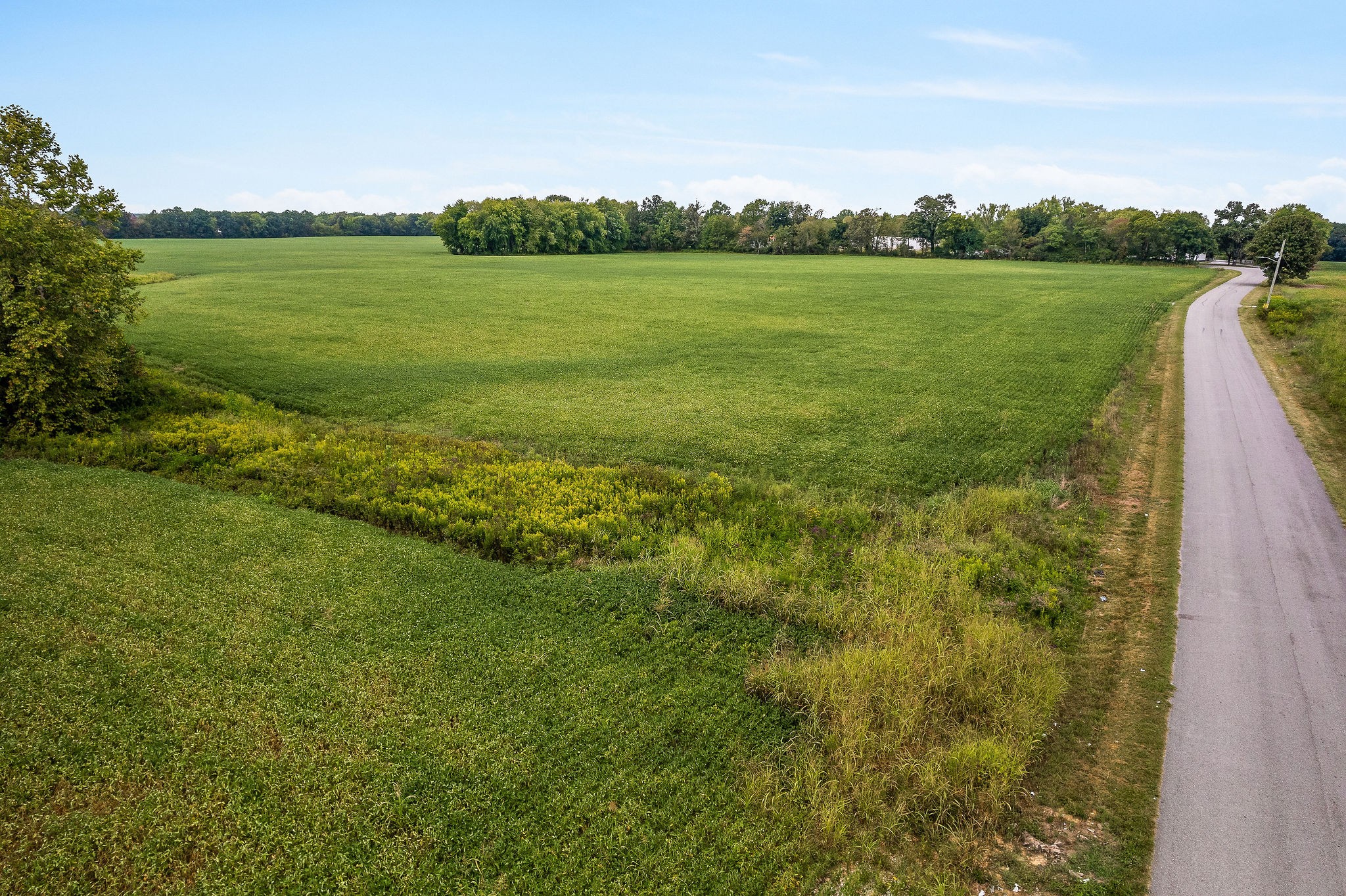 0 East Main Street Smithville, TN 37166 - Photo 18 of 22 a view of a green field with clear sky