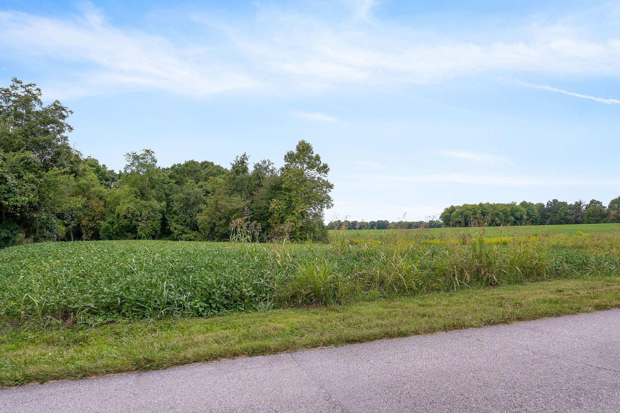 0 East Main Street Smithville, TN 37166 - Photo 19 of 22 a view of a lake with a big yard