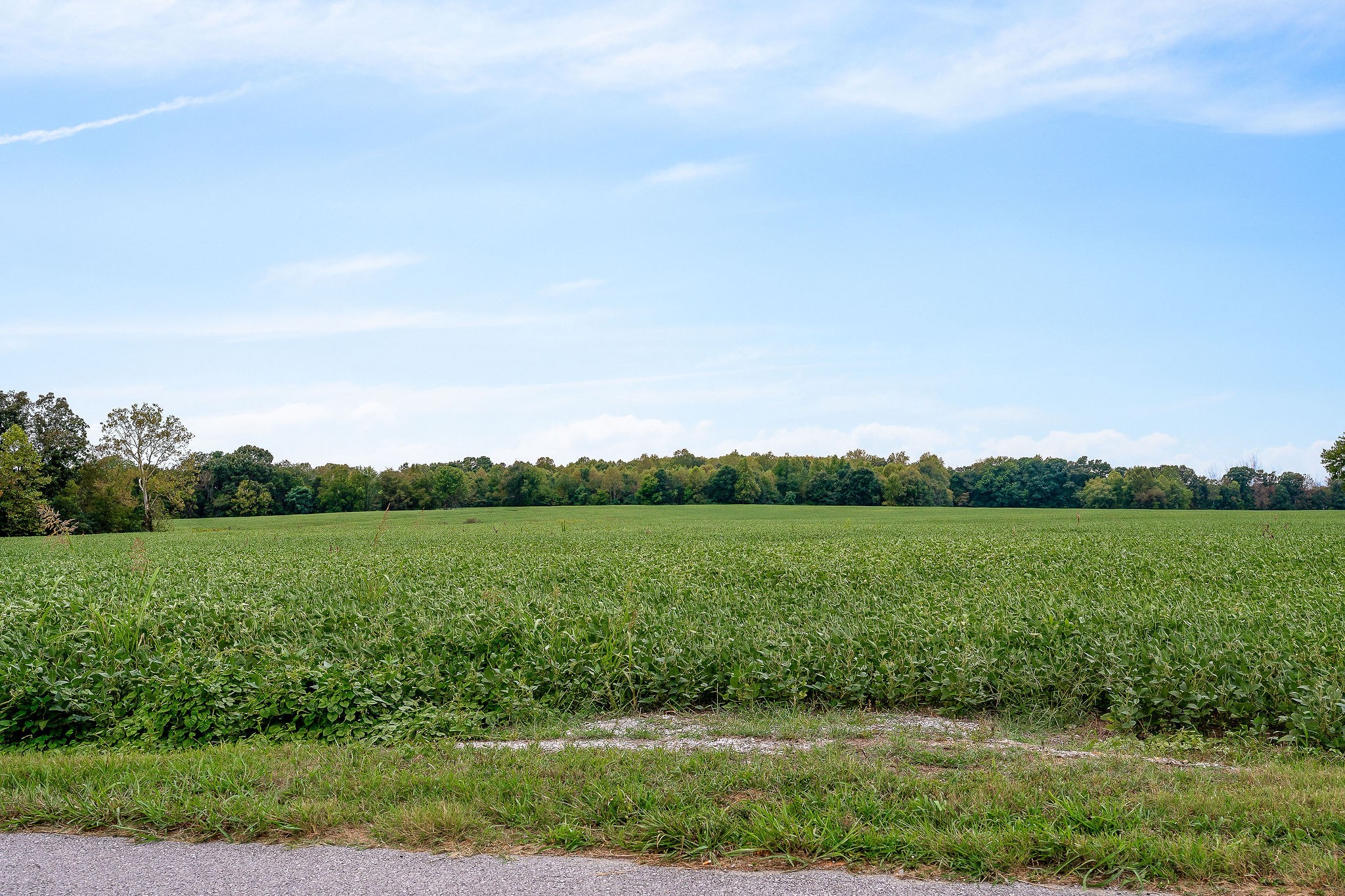 0 East Main Street Smithville, TN 37166 - Photo 20 of 22 a view of an outdoor space and a yard