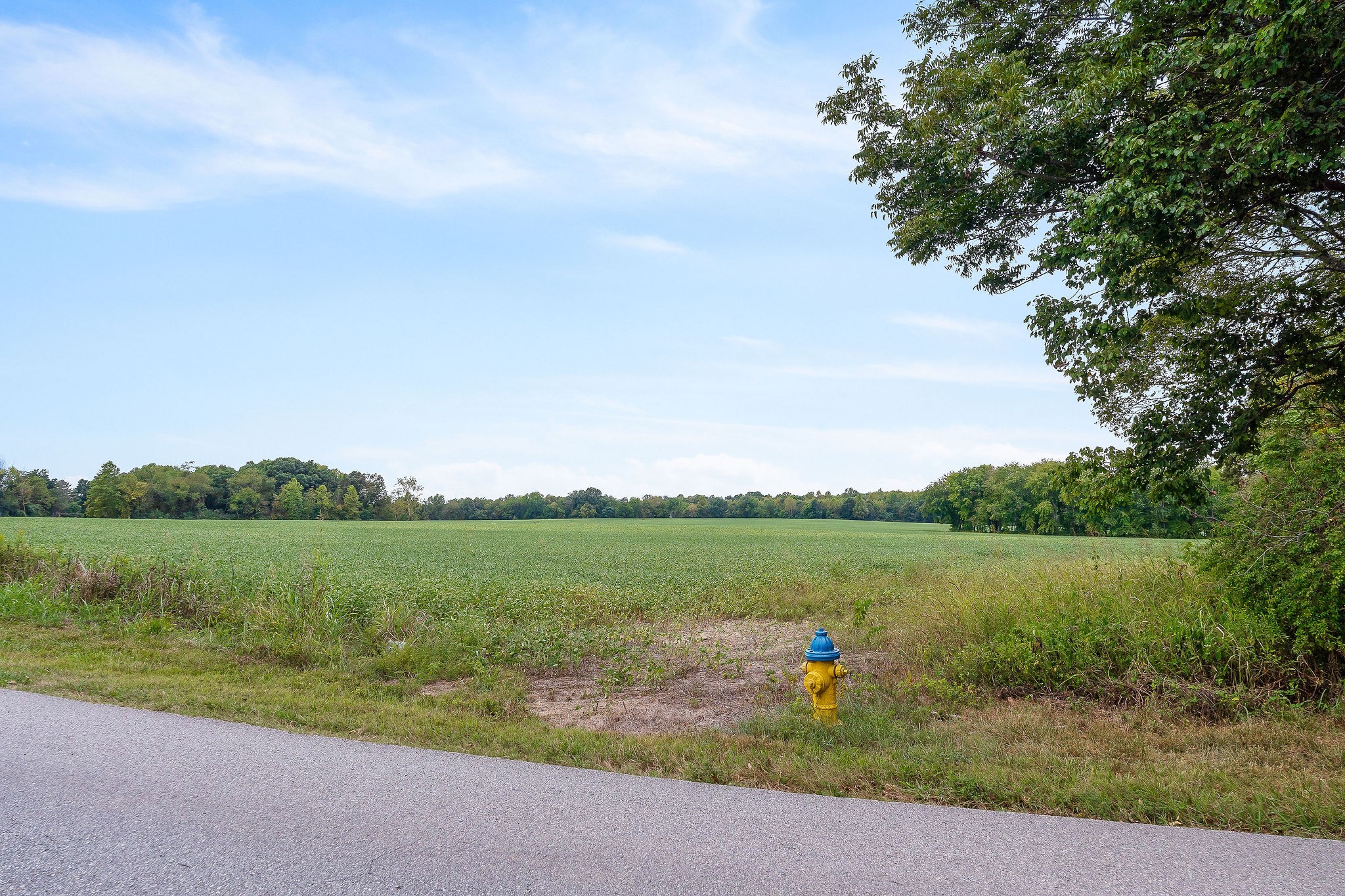0 East Main Street Smithville, TN 37166 - Photo 21 of 22