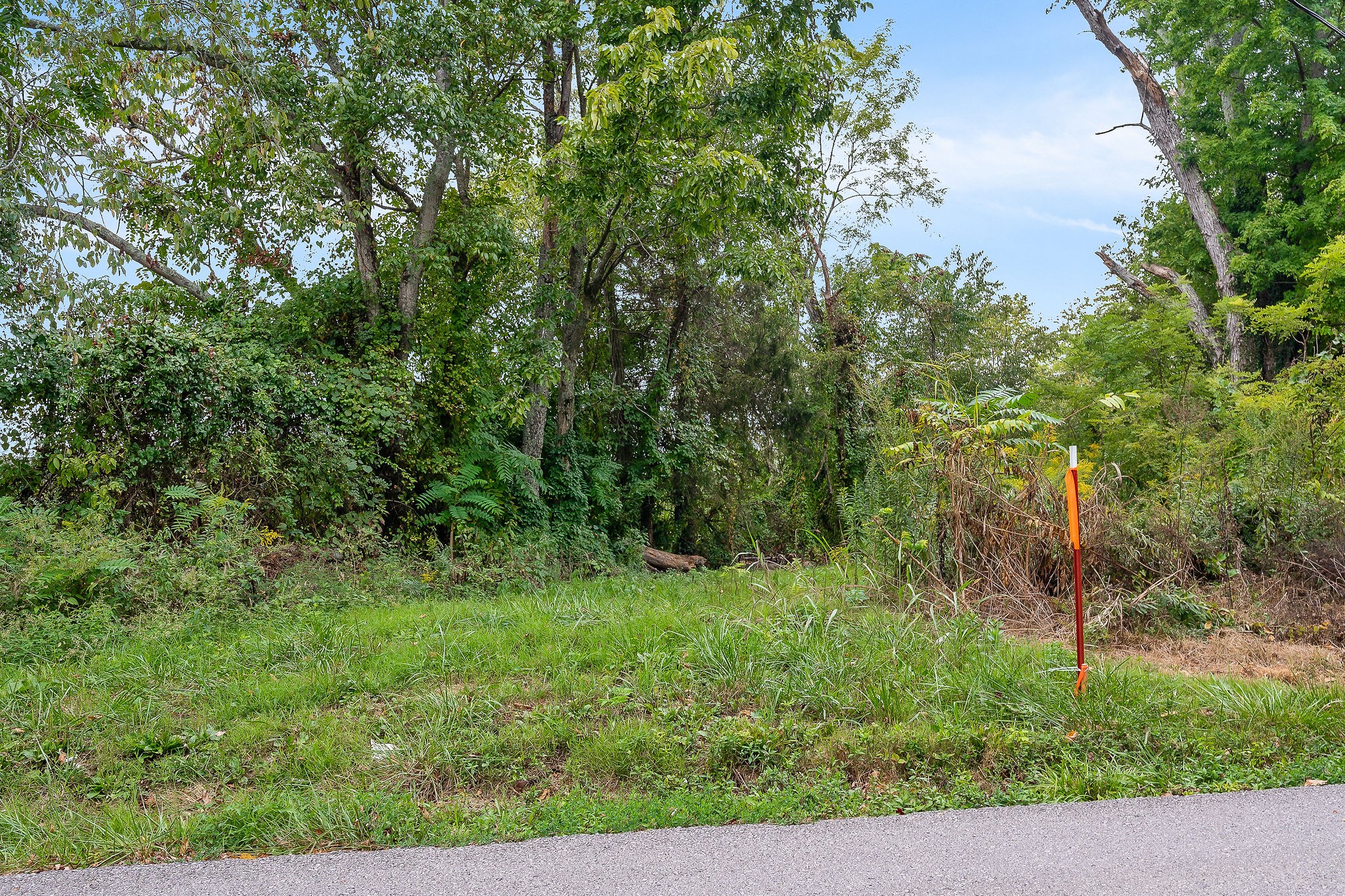 0 East Main Street Smithville, TN 37166 - Photo 22 of 22 a view of a lush green forest