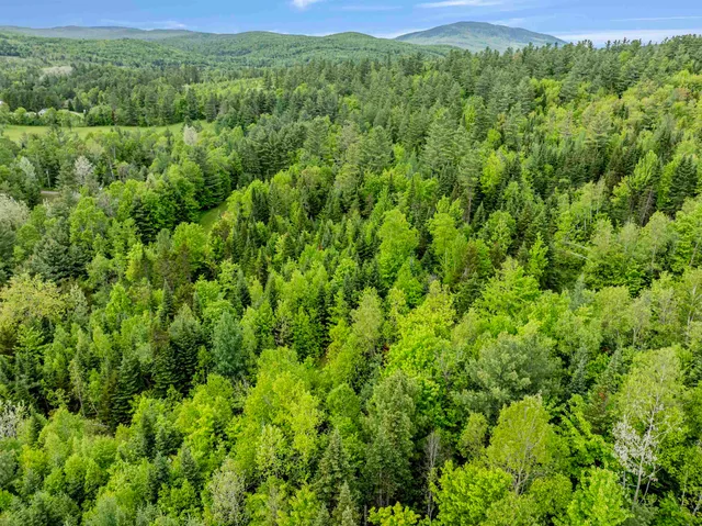 $59,000 | Lot 2 Highway 3, Twin Mountain, NH 03595