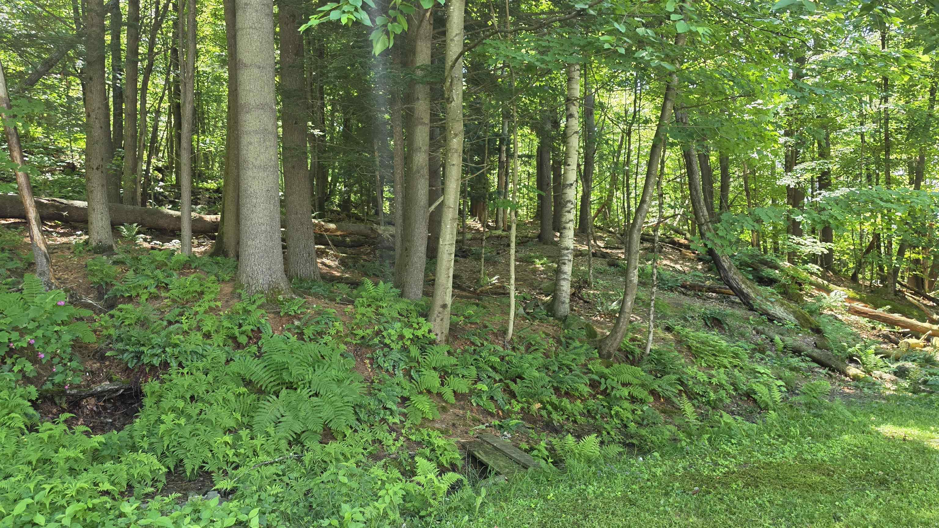 36 Old Rte 12 North Westmoreland, NH 03467 - Photo 6 of 17