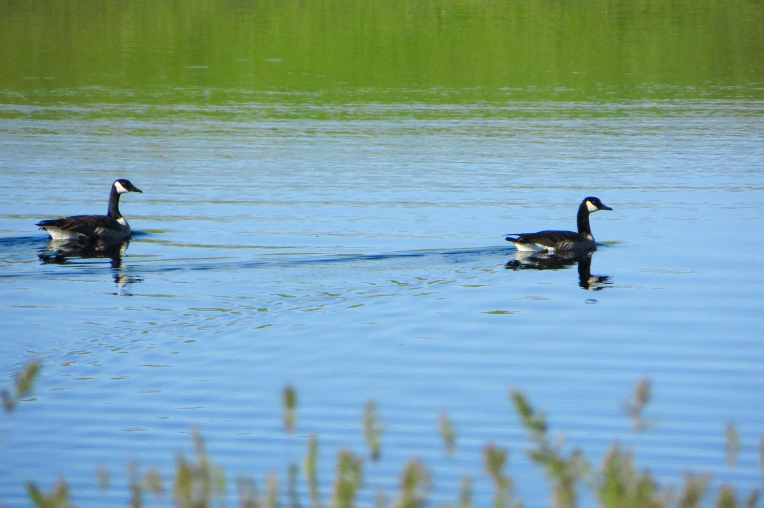 35294 Ruth Hill Road Clovis, CA 93619 - Photo 11 of 18