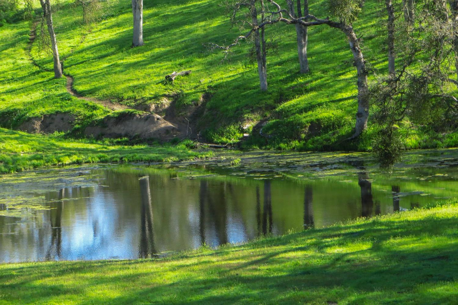 35294 Ruth Hill Road Clovis, CA 93619 - Photo 12 of 18