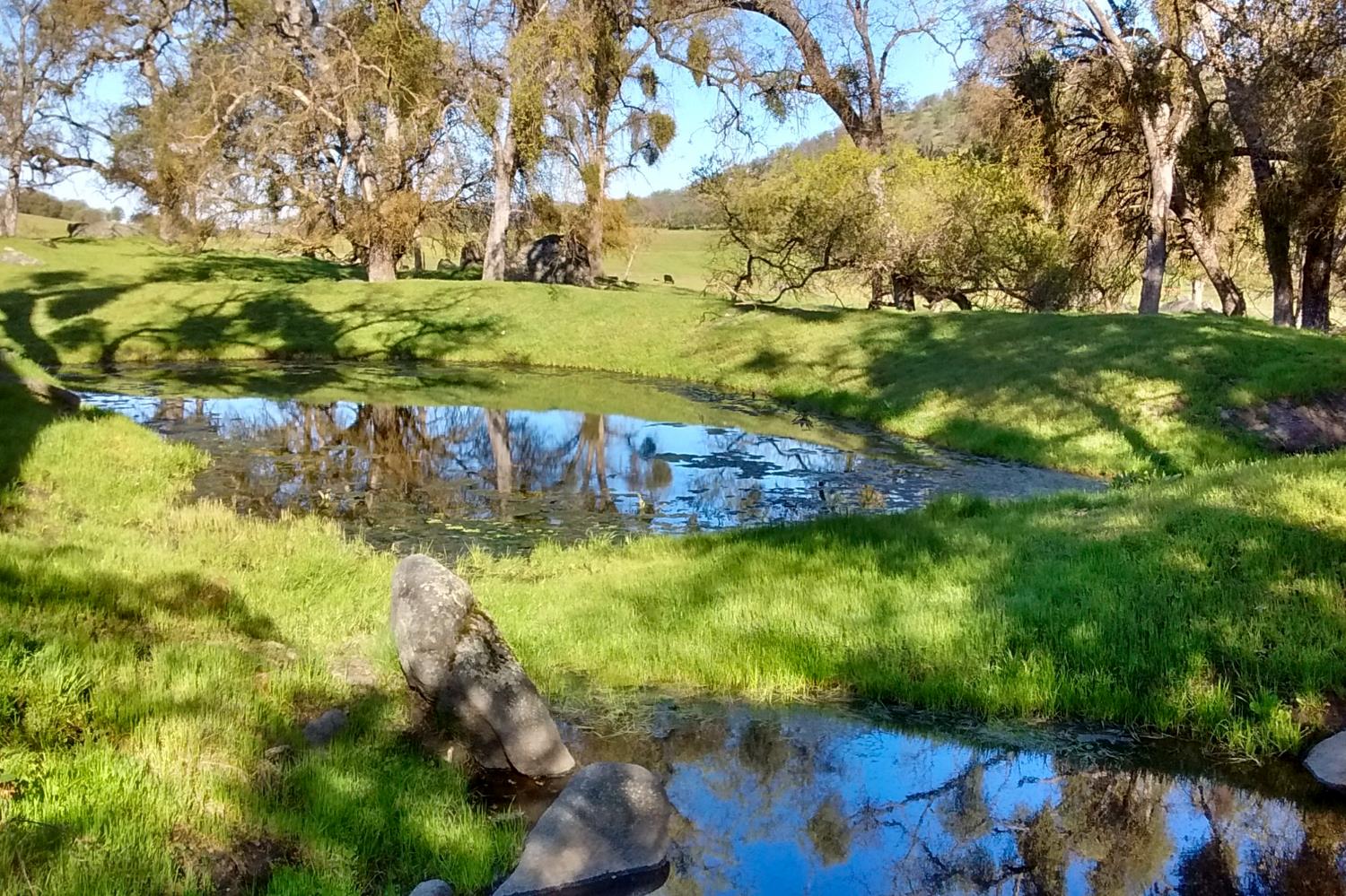 35294 Ruth Hill Road Clovis, CA 93619 - Photo 14 of 18