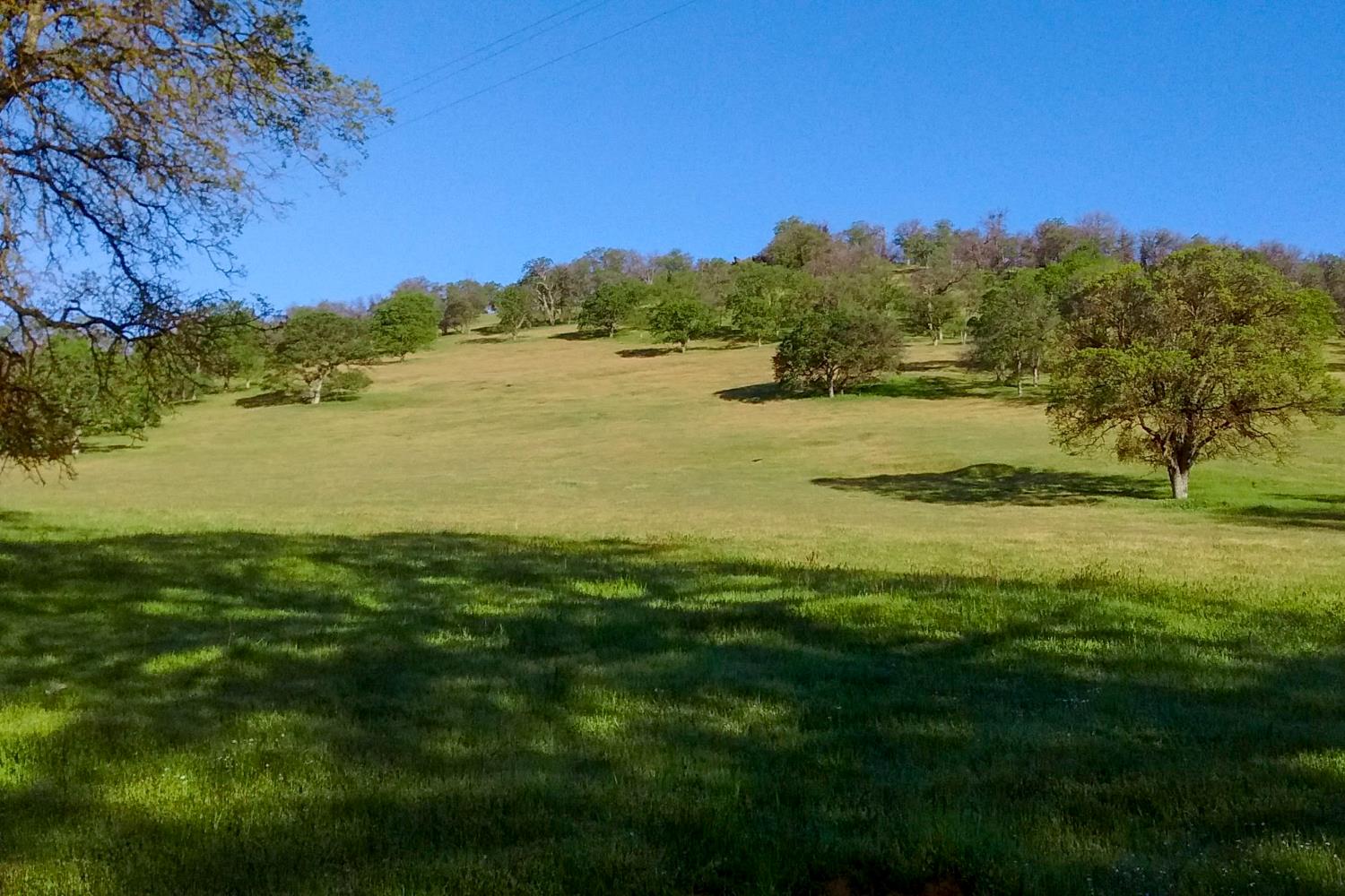 35294 Ruth Hill Road Clovis, CA 93619 - Photo 7 of 18