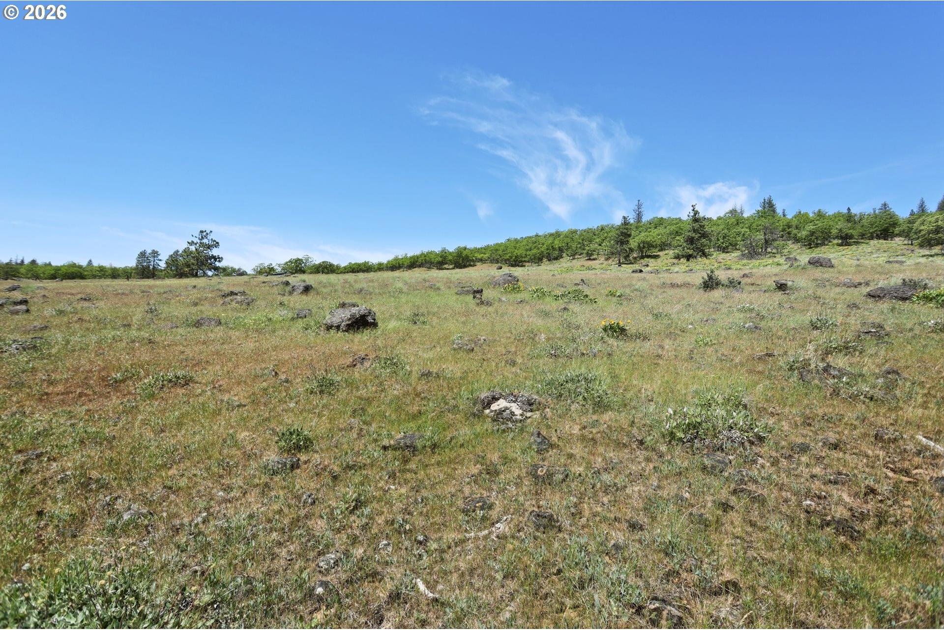 0 Thompson Trail Goldendale, WA 98620 - Photo 13 of 40 Gallery Image 13