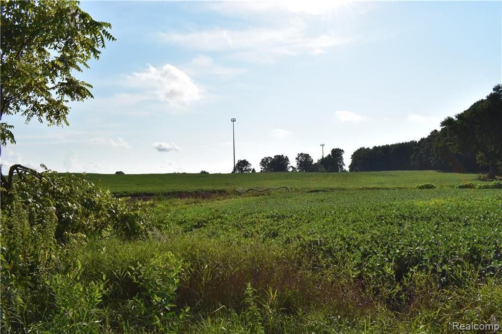 V/l East Coulter Road Lapeer, MI 48446 - Photo 5 of 5