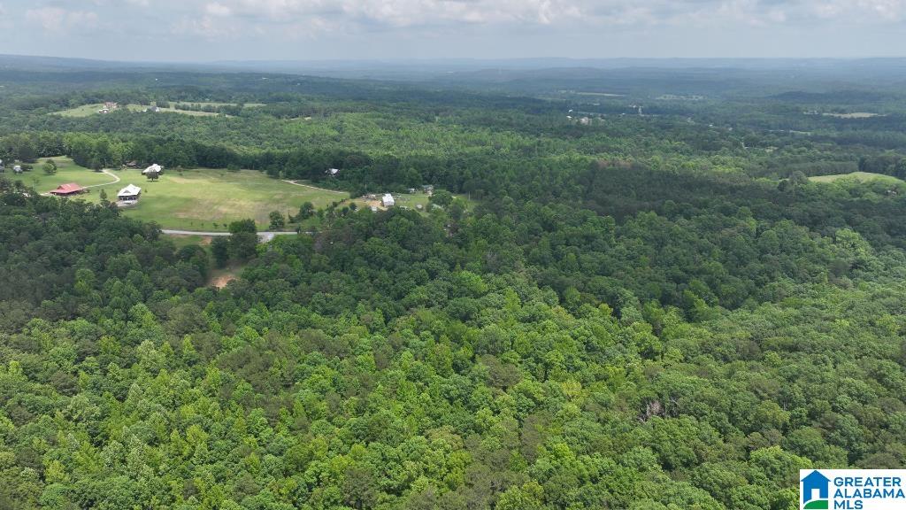 570 Culwell Road Hayden, AL 35079 - Photo 9 of 21