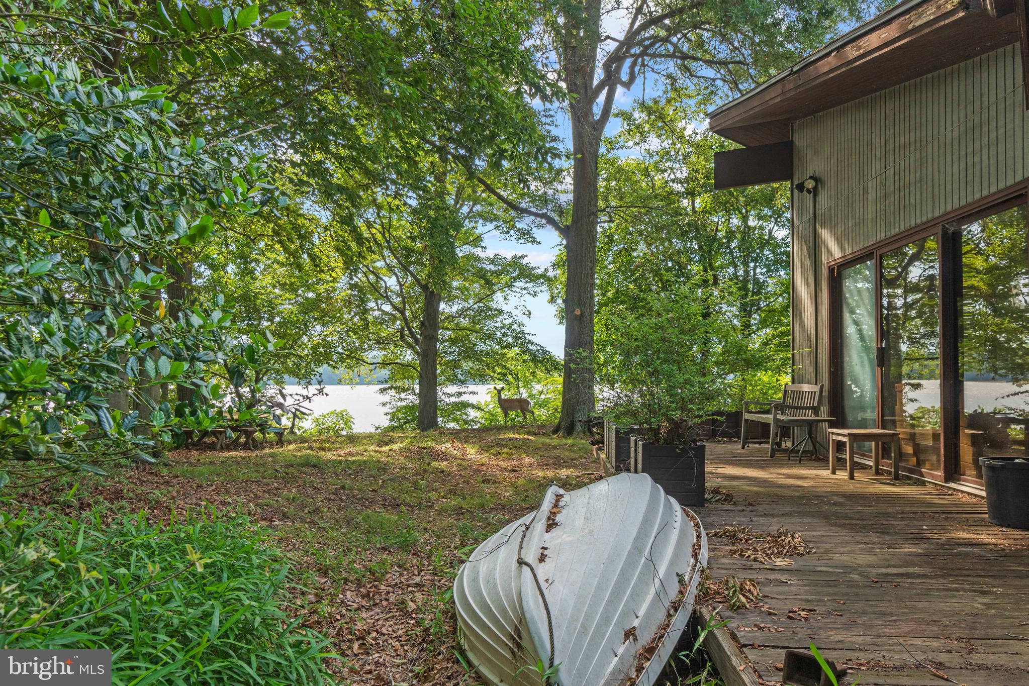 12211 Riverview Road Fort Washington, MD 20744 - Photo 40 of 45 side yard view to river and special guest