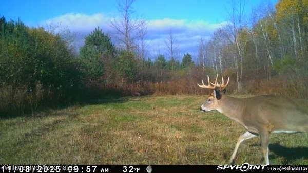 0 Hadley Road Decker, MI 48426 - Photo 16 of 18