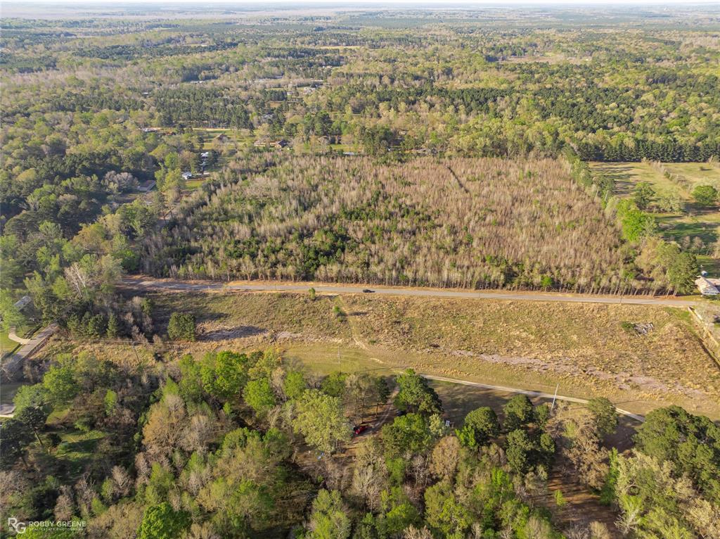 0 Wafer Haughton, LA 71037 - Photo 12 of 12 Drone / aerial view of a forest