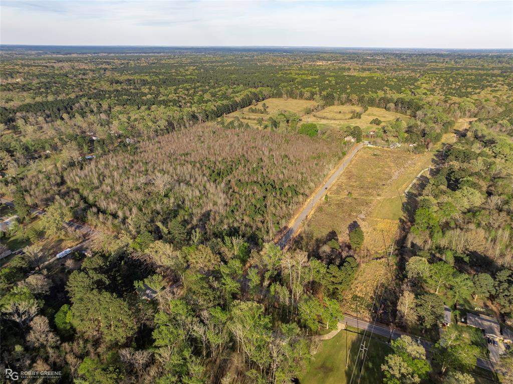 0 Wafer Haughton, LA 71037 - Photo 2 of 12 View of rural area with a forest