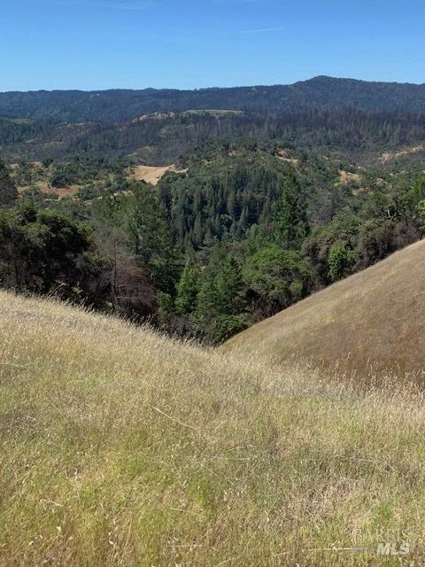 2100 Big Ridge Road Healdsburg, CA 95448 - Photo 15 of 20 a view of a lush green field with mountains in the background