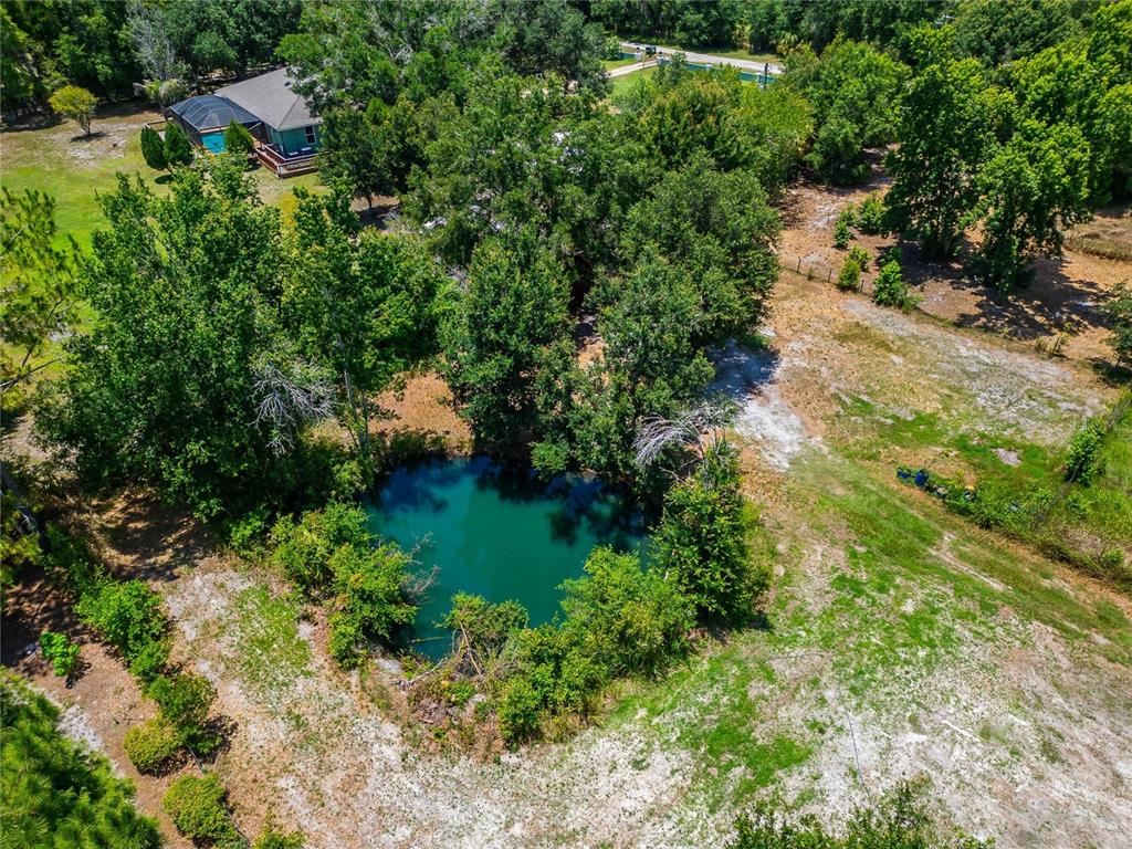 1205 Crystal Springs Road Zephyrhills, FL 33540 - Photo 72 of 79
