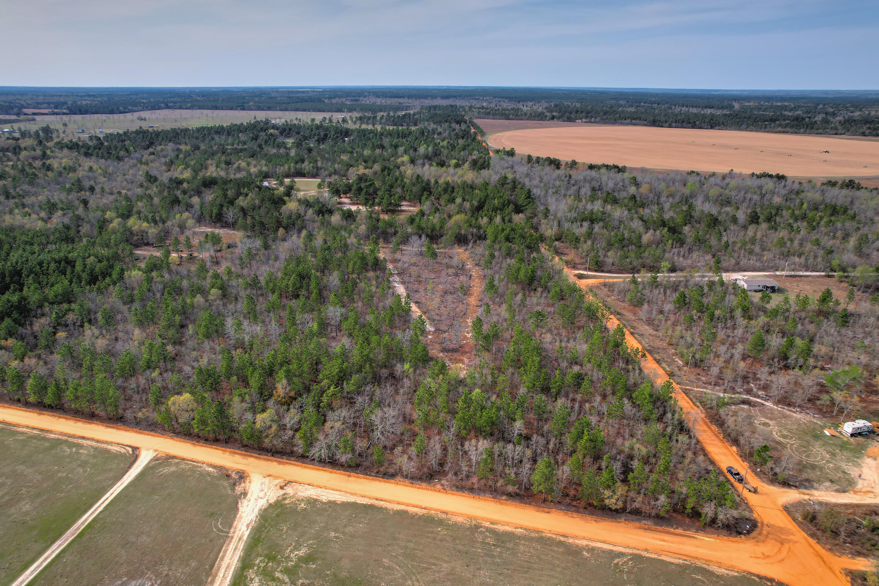 11-acres North 11-acres N Windsor Road Windsor, SC 29856 - Photo 10 of 16