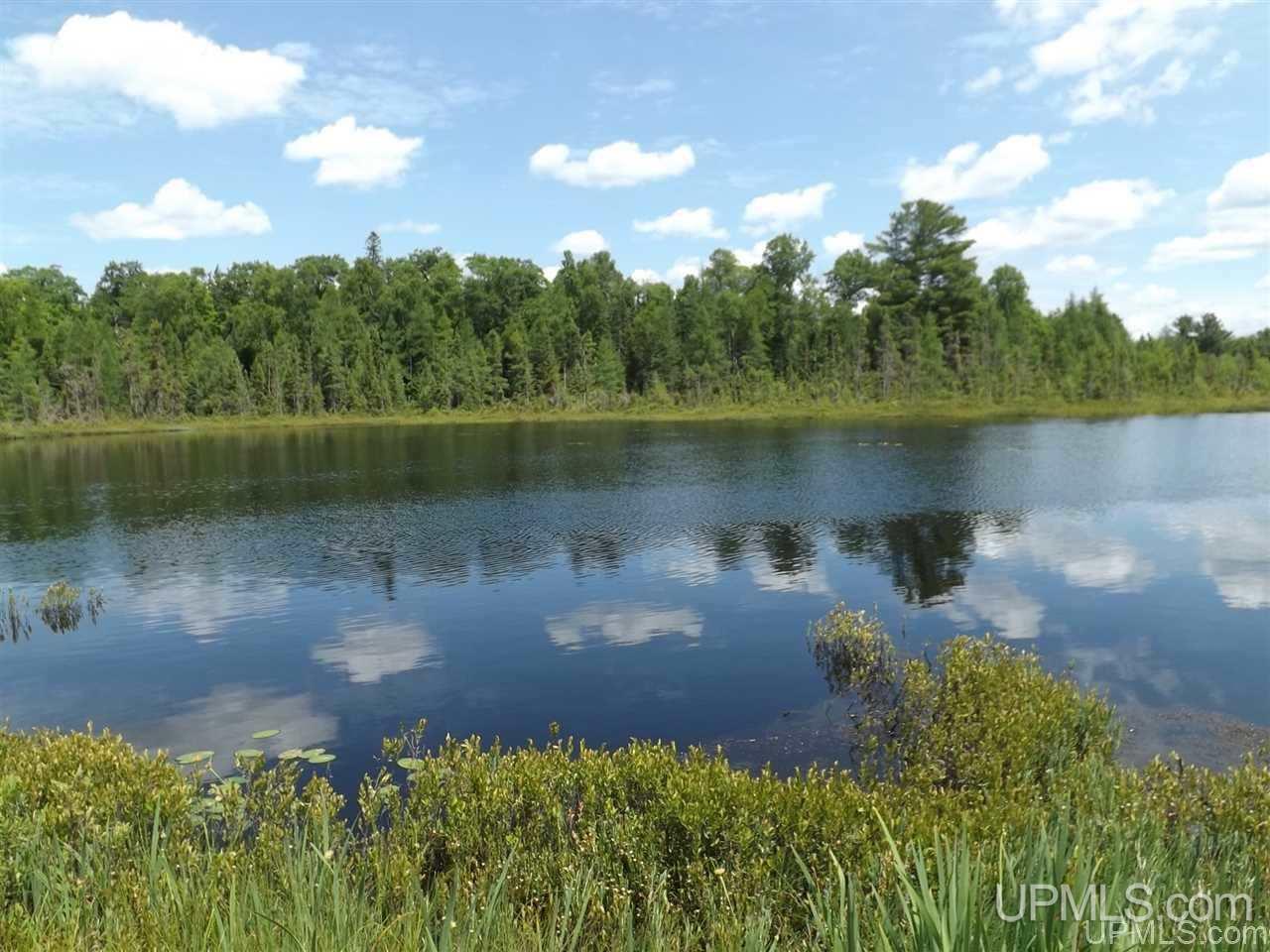 Tbd South Olson Lake Road Michigamme, MI 49861 - Photo 14 of 25
