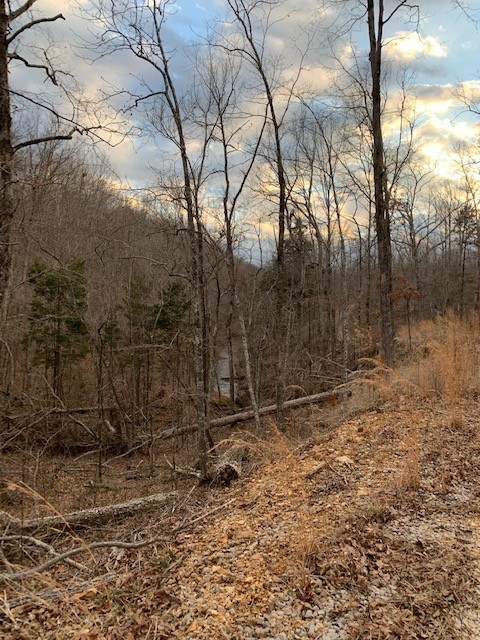B South Hurricane Creek Road Linden, TN 37096 - Photo 2 of 30 Gallery Image 2