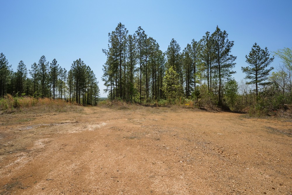 B South Hurricane Creek Road Linden, TN 37096 - Photo 11 of 30 Gallery Image 11
